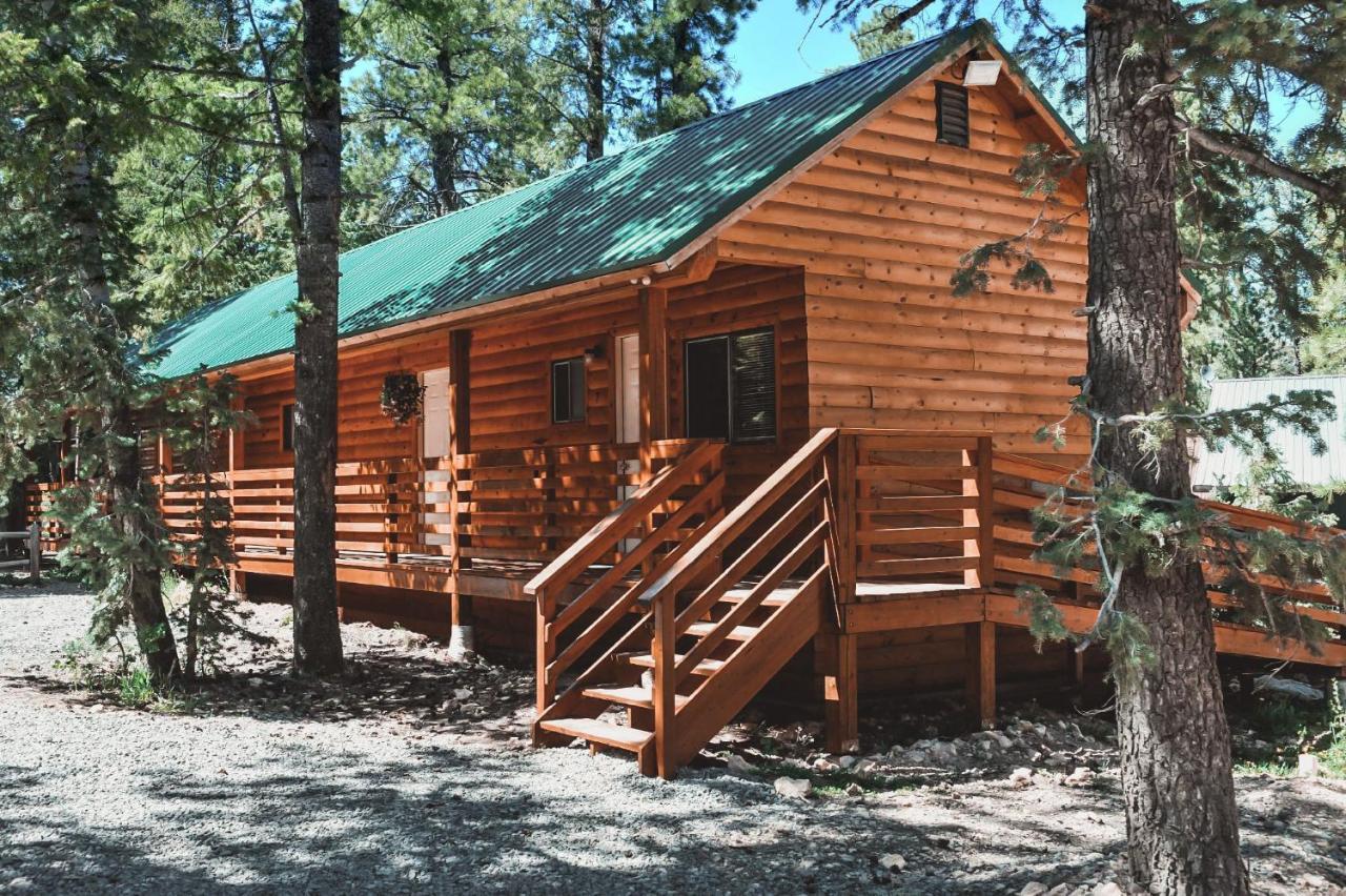 松林度假村房车公园酒店 Duck Creek Village 外观 照片